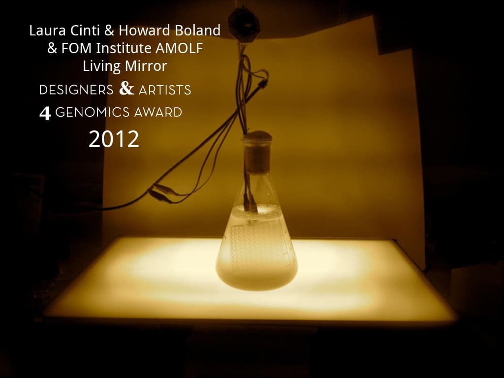 DA4GA 2012 Living Mirror