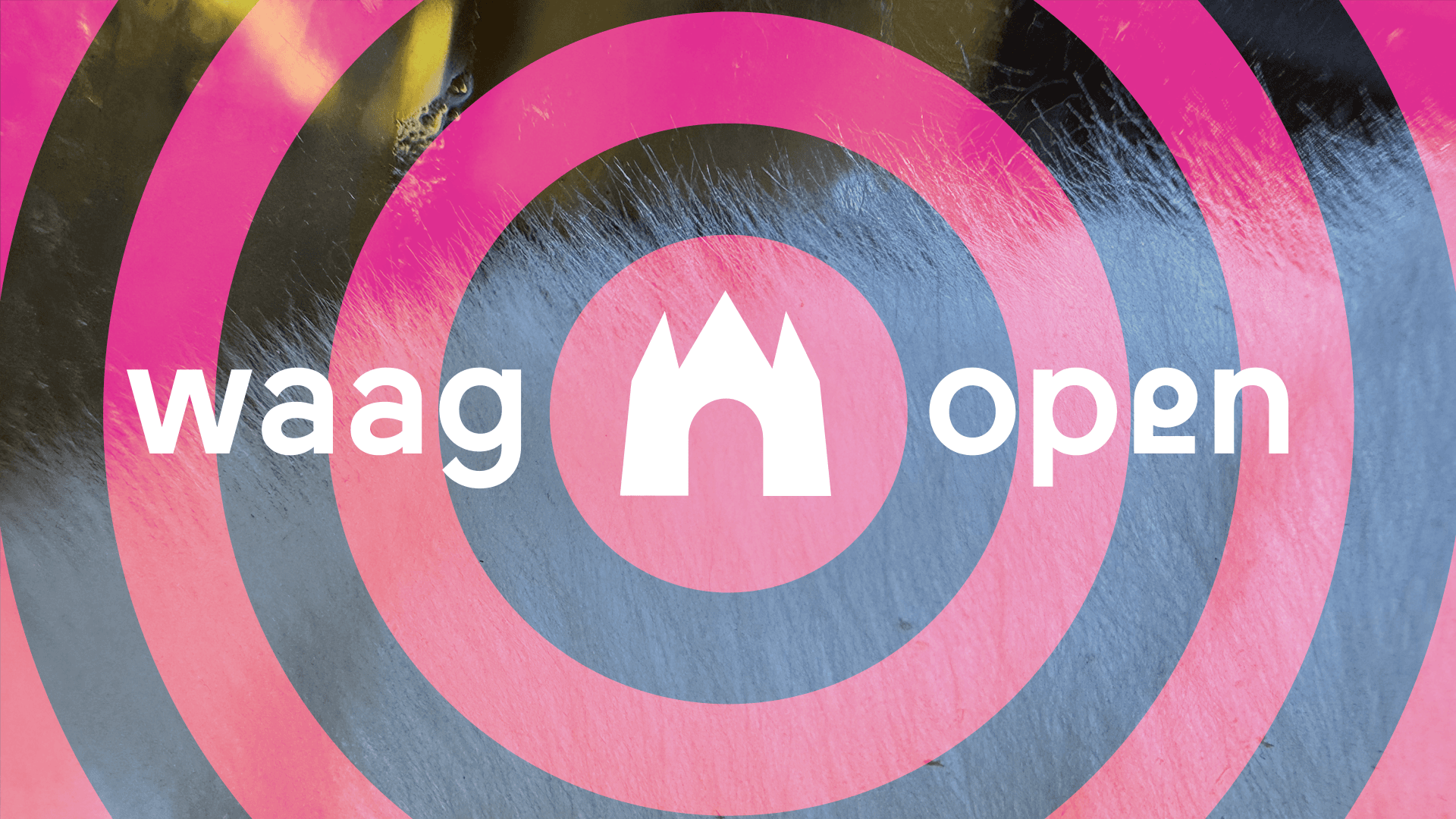 Mycelium met een watermerk van rode ringen en het Waag Open logo.