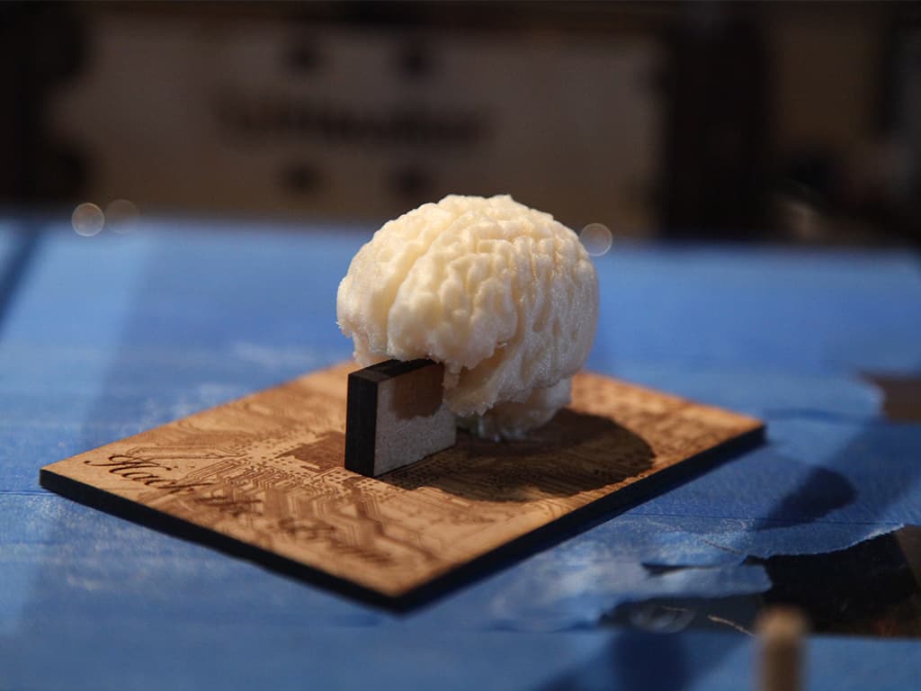 MiniBrain