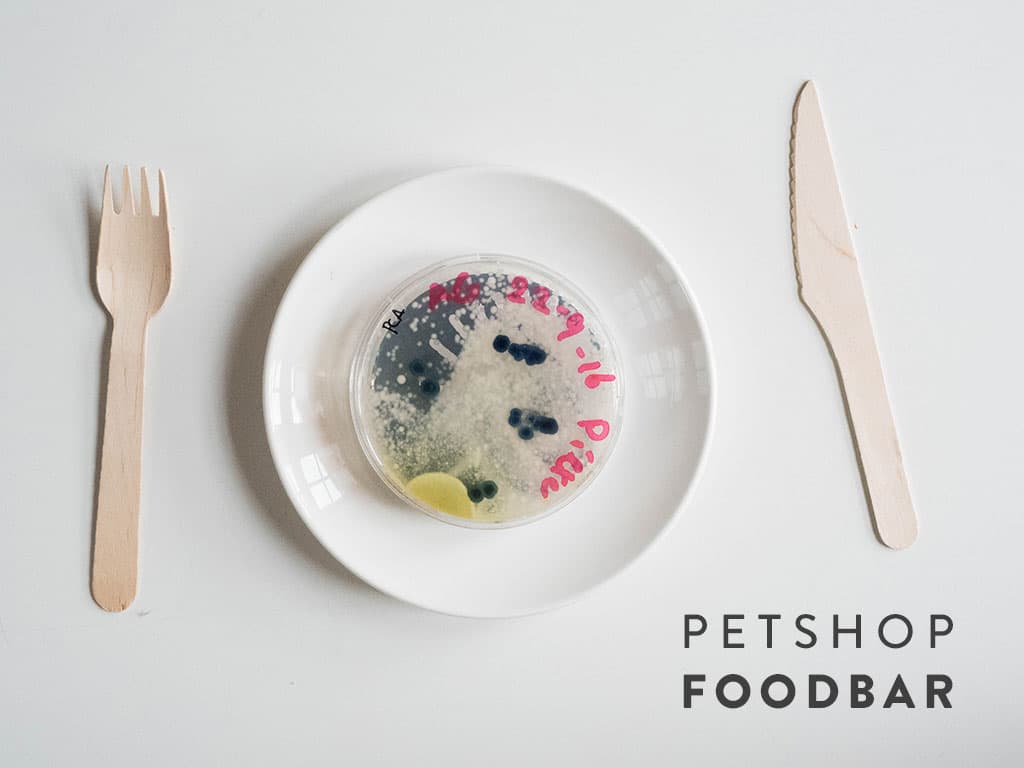 Pet Shop Food Bar 2016
